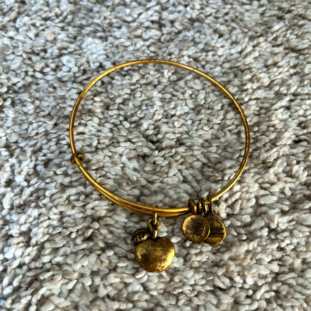 Alex and Ani Teacher Apple Charm Bracelet